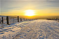 Snow Landscape